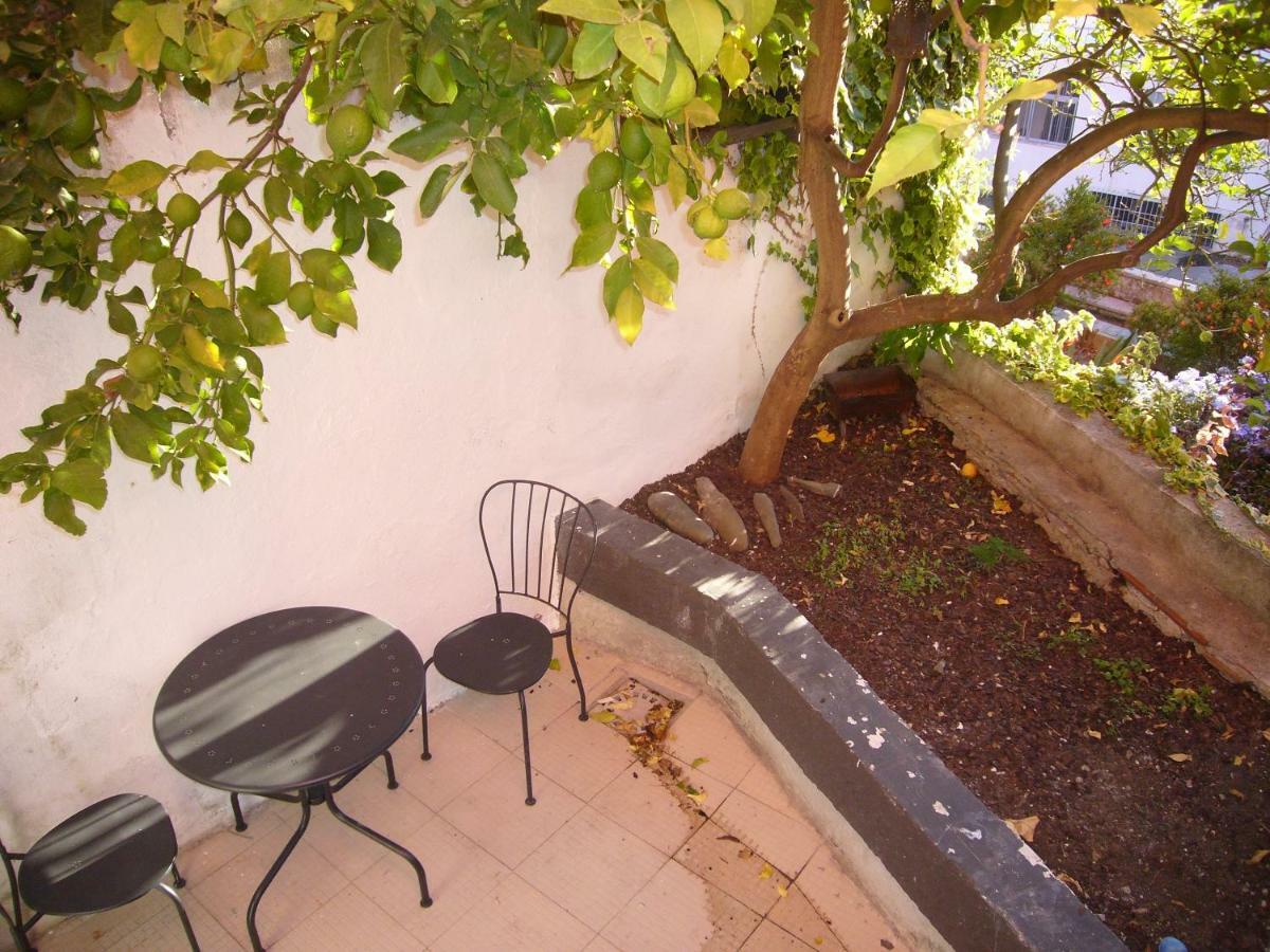Encantadora Casa Do Limoeiro Apartamento